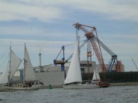 Hanse sail 2010.SANY3796
